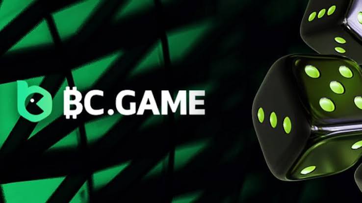 Exploring BC.Game Mirror A Guide to an Innovative Gaming Experience